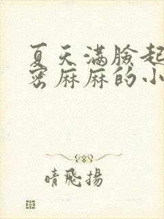 夏天满脸起小密密麻麻的小疙瘩