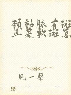 颈动脉有斑块而且是软斑怎样治疗