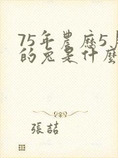 75年农历5月的兔是什么命封面