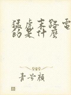 猛虎末路电影讲的是什么封面