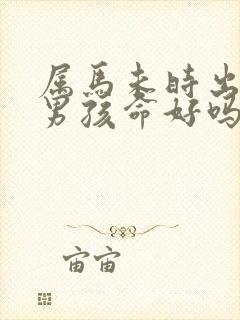 属马未时出生的男孩命好吗封面