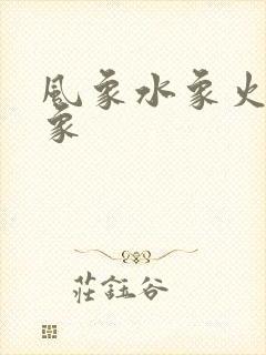 风象水象火象土象