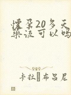 怀孕20多天用药流可以吗封面