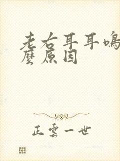 老右耳耳鸣是什么原因