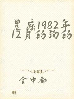 农历1982年12月的狗的命运