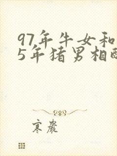 97年牛女和95年猪男相配婚姻如何