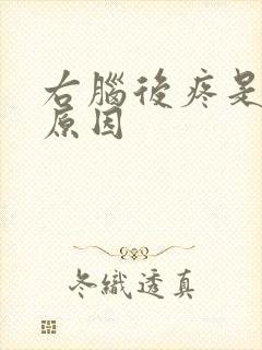 右脑后疼是什么原因封面