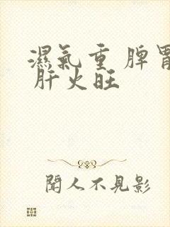 湿气重 脾胃虚 肝火旺