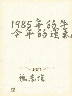 1985年的牛今年的运气