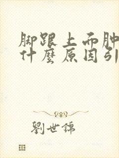 脚跟上面肿疼是什么原因引起的