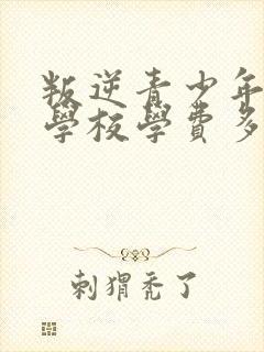 叛逆青少年特训学校学费多少钱