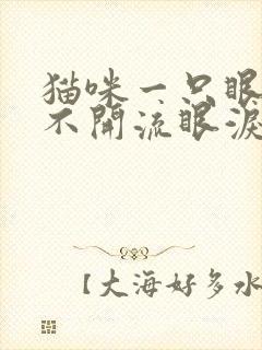 猫咪一只眼睛睁不开流眼泪怎么回事封面