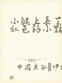 小腿上长了很多红色的小点点是怎么回事