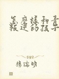 怎么样和青春期叛逆的孩子相处