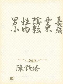 男性阴囊长了个小肉粒不痛不痒