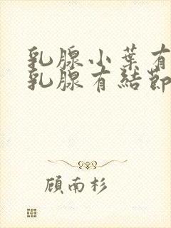 乳腺小叶有增生乳腺有结节