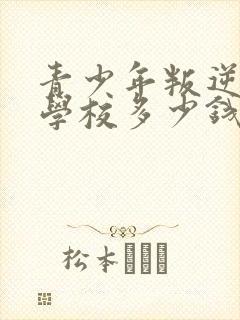 青少年叛逆封闭学校多少钱