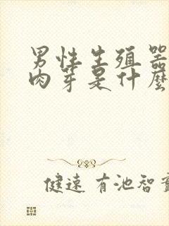 男性生殖器上起肉芽是什么原因