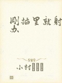 刚插里就射怎么办