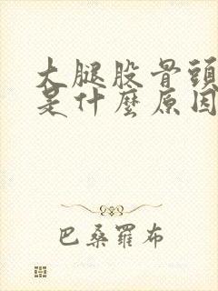 大腿股骨头疼痛是什么原因特别痛