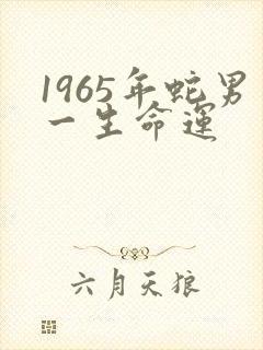 1965年蛇男一生命运封面