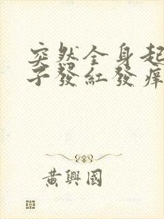 突然全身起红疹子发红发痒封面