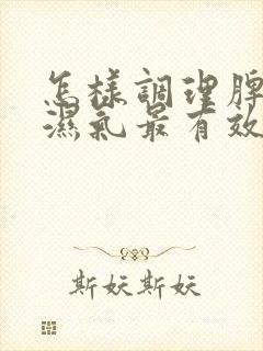 怎样调理脾胃去湿气最有效