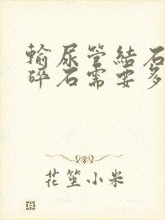 输尿管结石体外碎石需要多少钱