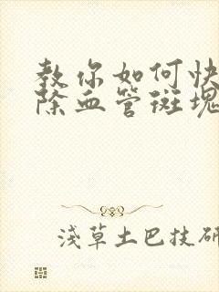 教你如何快速去除血管斑块