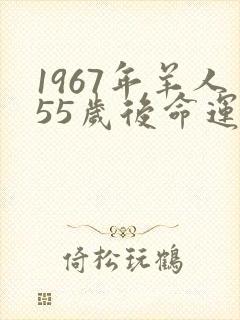 1967年羊人55岁后命运财运