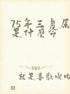 75年三月属兔是什么命