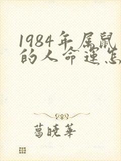 1984年属鼠的人命运怎么样