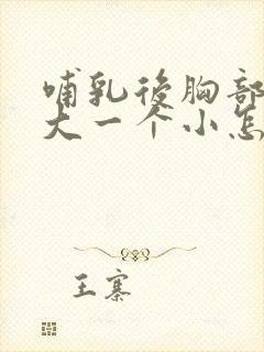 哺乳后胸部一个大一个小怎么办封面