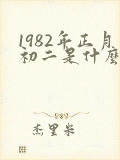 1982年正月初二是什么命封面