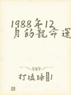 1988年12月的龙命运如何封面