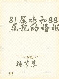 81属鸡和88属龙的婚姻怎么样