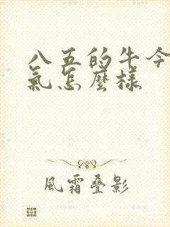 八五的牛今年运气怎么样