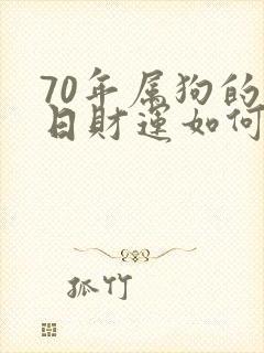 70年属狗的今日财运如何