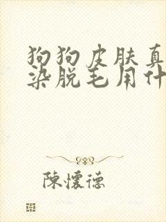 狗狗皮肤真菌感染脱毛用什么药