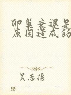 卵巢衰退是什么原因造成的