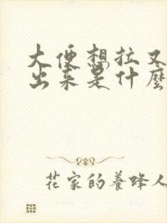 大便想拉又拉不出来是什么原因