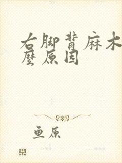 右脚背麻木是什么原因