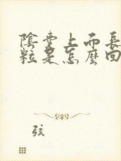 阴囊上面长个肉粒是怎么回事封面