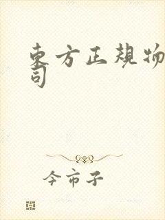 东方正规物流公司封面