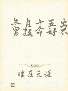 冬月十五出生的男孩命好不好