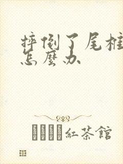 摔倒了尾椎骨疼怎么办封面