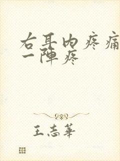 右耳内疼痛一阵一阵疼封面