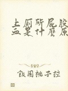 上厕所屁股会出血是什么原因