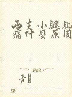 两支小腿肌肉酸痛什么原因