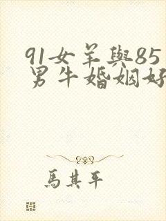 91女羊与85男牛婚姻好不好封面
